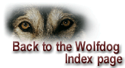 Back to Wolfdog Index page